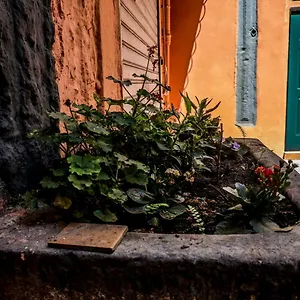 Little House , Nápoles Italia